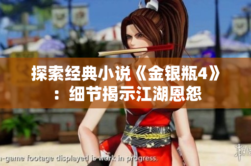 探索经典小说《金银瓶4》：细节揭示江湖恩怨