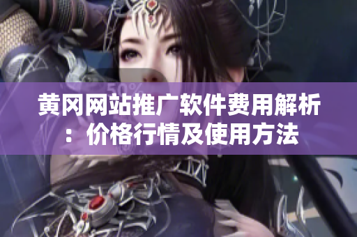 黄冈网站推广软件费用解析：价格行情及使用方法