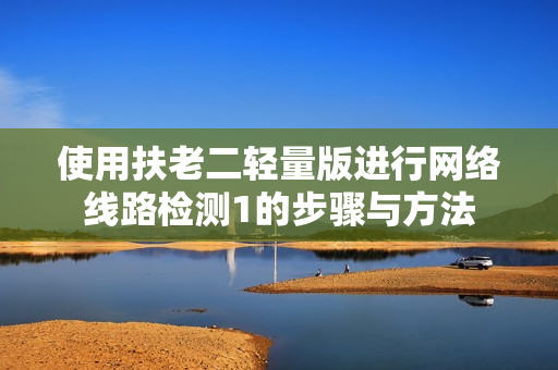 使用扶老二轻量版进行网络线路检测1的步骤与方法