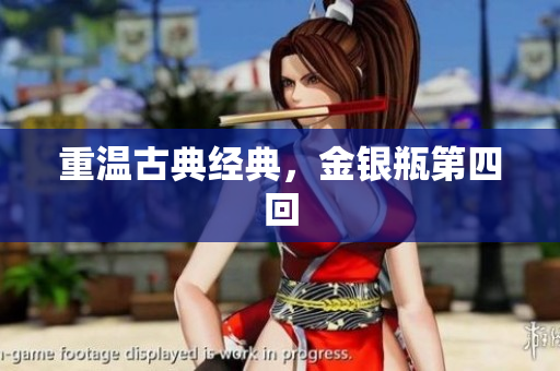 重温古典经典，金银瓶第四回