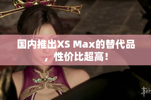 国内推出XS Max的替代品，性价比超高！