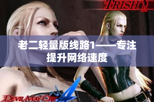 老二轻量版线路1——专注提升网络速度