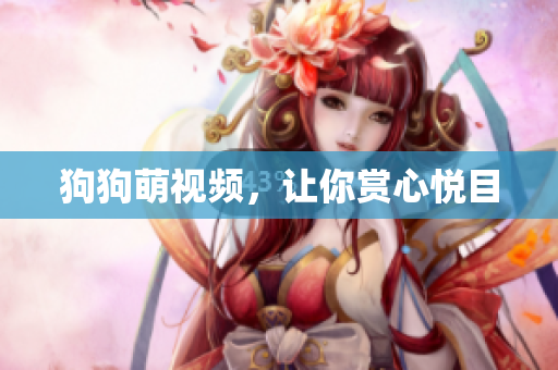 狗狗萌视频，让你赏心悦目
