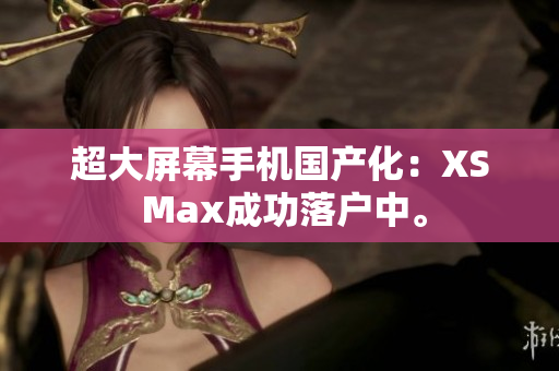 超大屏幕手机国产化：XS Max成功落户中。