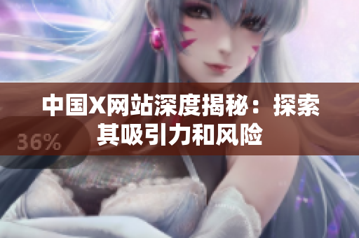 中国X网站深度揭秘：探索其吸引力和风险
