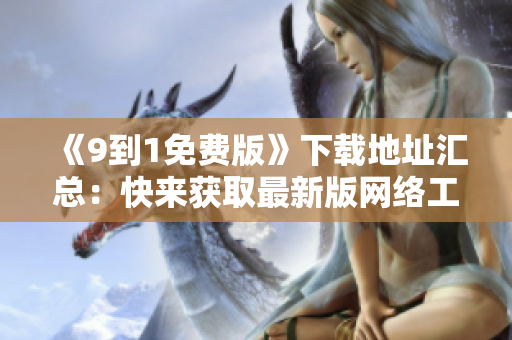 《9到1免费版》下载地址汇总：快来获取最新版网络工具！