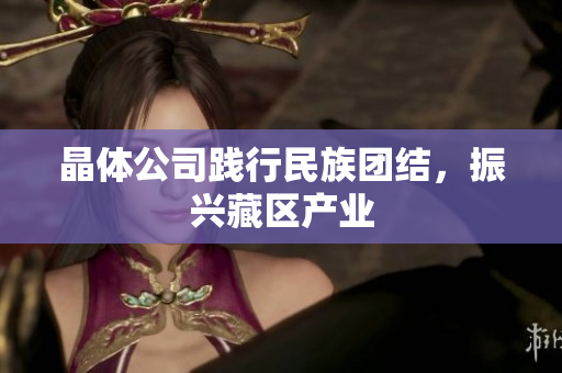 晶体公司践行民族团结，振兴藏区产业