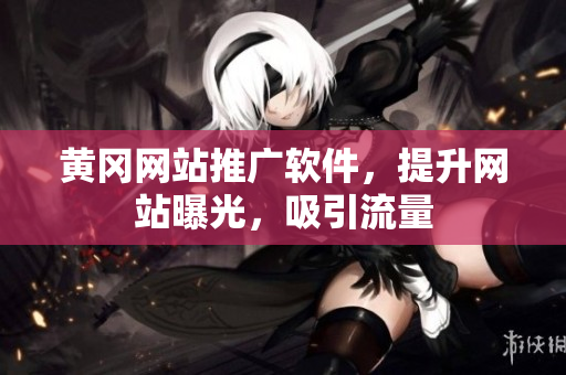 黄冈网站推广软件，提升网站曝光，吸引流量