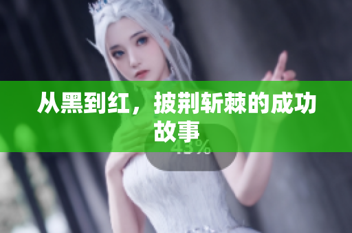 从黑到红，披荆斩棘的成功故事