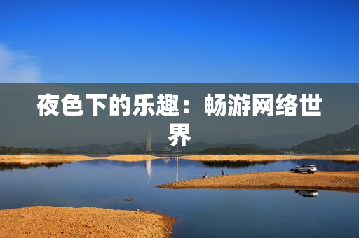 夜色下的乐趣：畅游网络世界