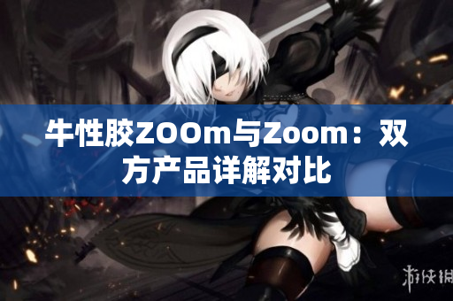 牛性胶ZOOm与Zoom：双方产品详解对比