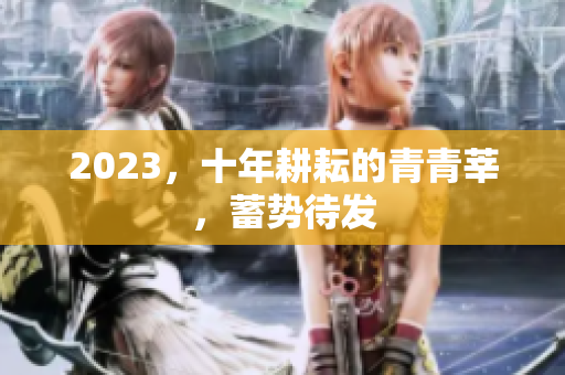 2023，十年耕耘的青青莘，蓄势待发