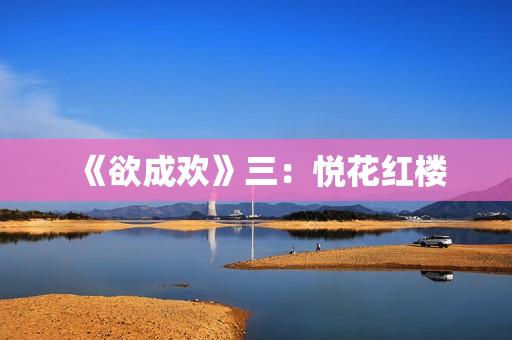 《欲成欢》三：悦花红楼