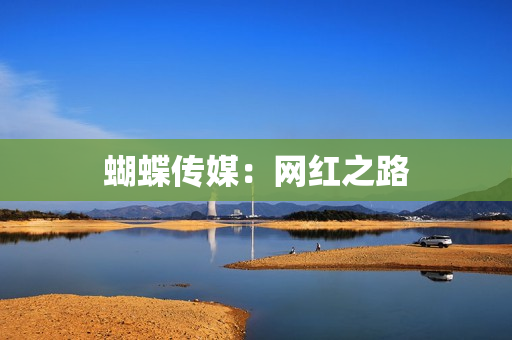 蝴蝶传媒：网红之路