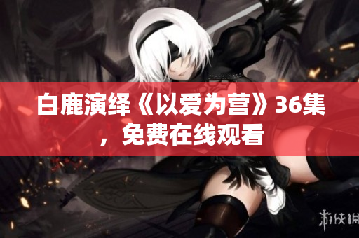 白鹿演绎《以爱为营》36集，免费在线观看
