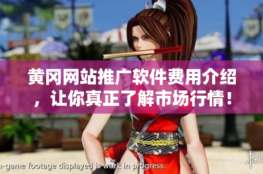 黄冈网站推广软件费用介绍，让你真正了解市场行情！