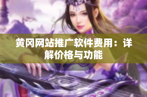 黄冈网站推广软件费用：详解价格与功能