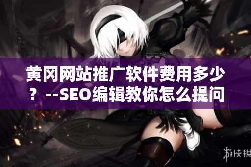 黄冈网站推广软件费用多少？--SEO编辑教你怎么提问