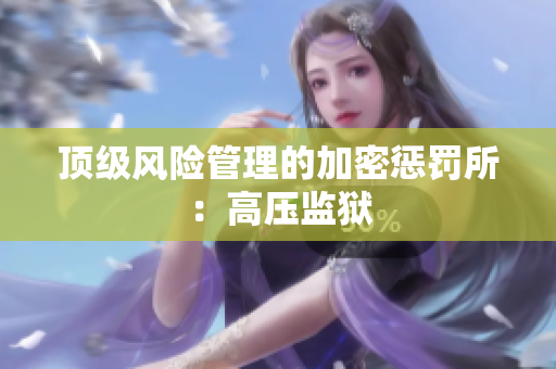 顶级风险管理的加密惩罚所：高压监狱