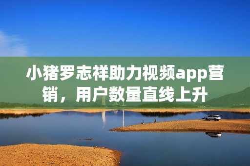 小猪罗志祥助力视频app营销，用户数量直线上升