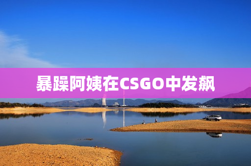 暴躁阿姨在CSGO中发飙