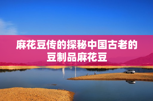 麻花豆传的探秘中国古老的豆制品麻花豆