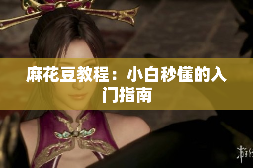 麻花豆教程：小白秒懂的入门指南