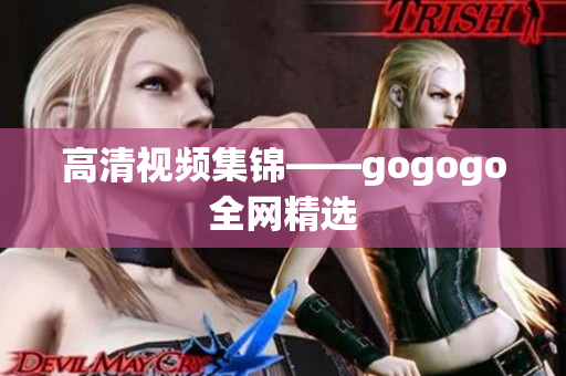高清视频集锦——gogogo全网精选
