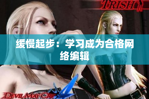 缓慢起步：学习成为合格网络编辑