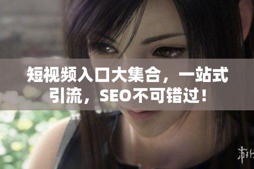 短视频入口大集合，一站式引流，SEO不可错过！