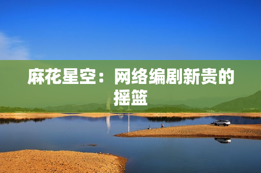 麻花星空：网络编剧新贵的摇篮