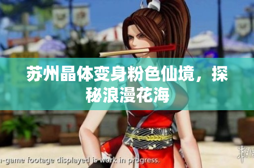 苏州晶体变身粉色仙境，探秘浪漫花海