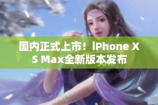 国内正式上市！iPhone XS Max全新版本发布