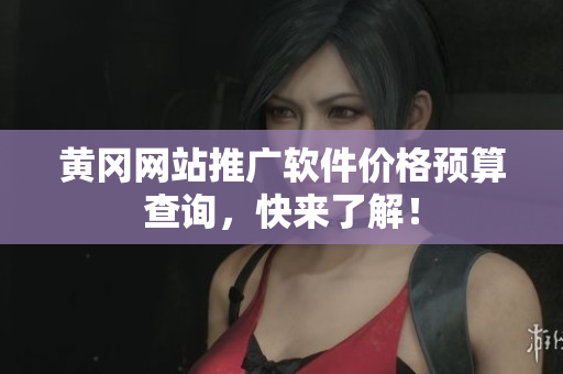 黄冈网站推广软件价格预算查询，快来了解！