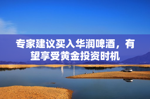 专家建议买入华润啤酒，有望享受黄金投资时机