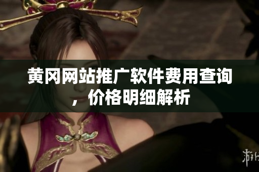 黄冈网站推广软件费用查询，价格明细解析