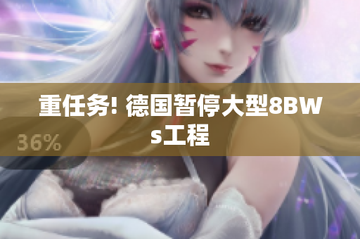 重任务! 德国暂停大型8BWs工程
