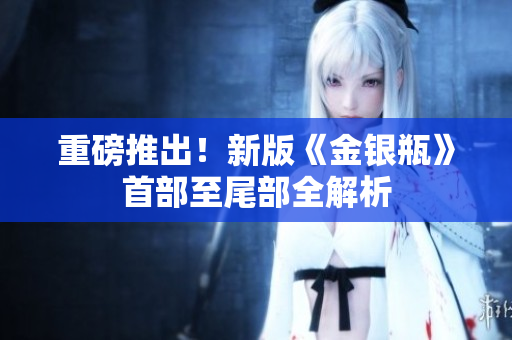 重磅推出！新版《金银瓶》首部至尾部全解析