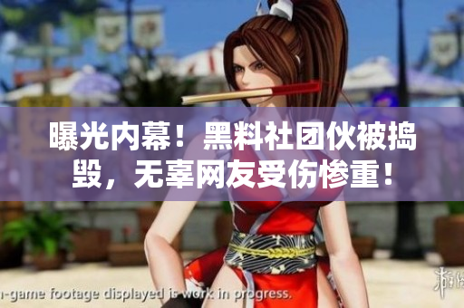 曝光内幕！黑料社团伙被捣毁，无辜网友受伤惨重！