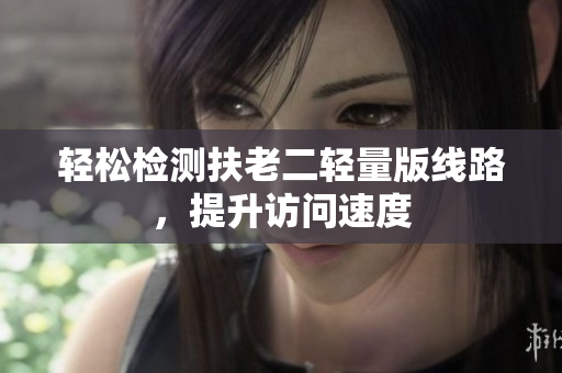 轻松检测扶老二轻量版线路，提升访问速度