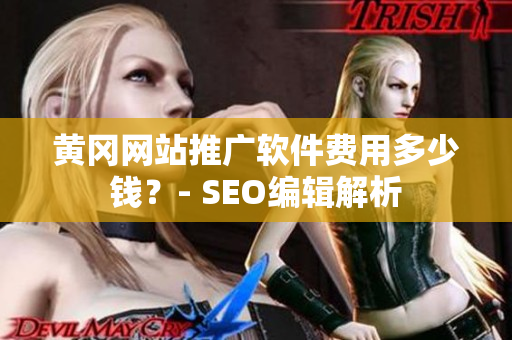 黄冈网站推广软件费用多少钱？- SEO编辑解析