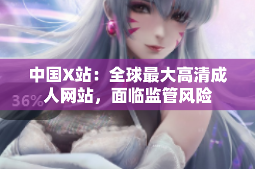 中国X站：全球最大高清成人网站，面临监管风险