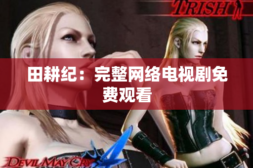 田耕纪：完整网络电视剧免费观看