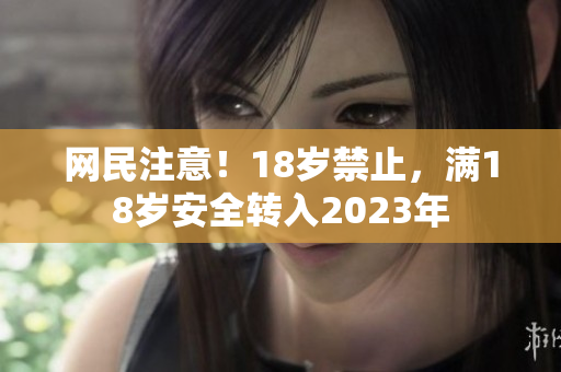 网民注意！18岁禁止，满18岁安全转入2023年