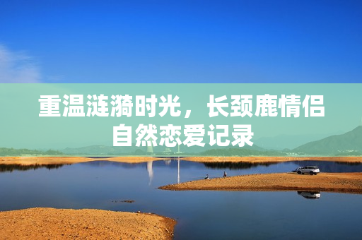 重温涟漪时光，长颈鹿情侣自然恋爱记录