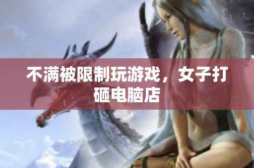 不满被限制玩游戏，女子打砸电脑店