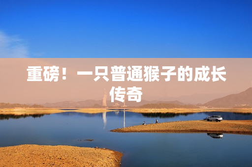 重磅！一只普通猴子的成长传奇