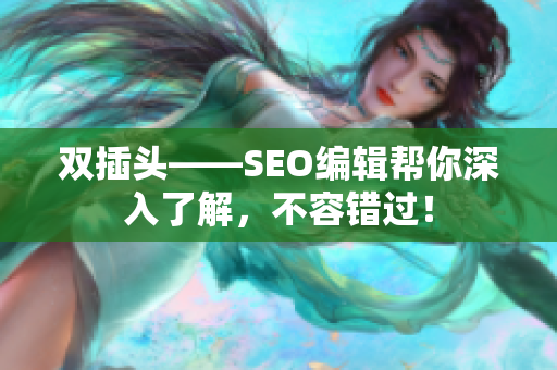 双插头——SEO编辑帮你深入了解，不容错过！