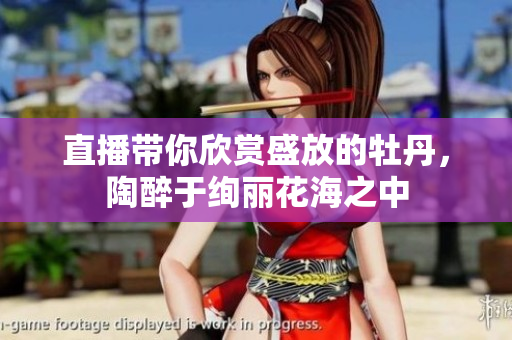 直播带你欣赏盛放的牡丹，陶醉于绚丽花海之中