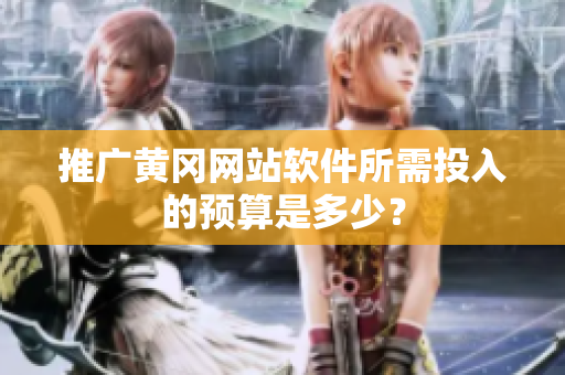 推广黄冈网站软件所需投入的预算是多少？